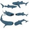 Set of Cartoon whale shark