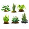 Set of cartoon wild plants. Vector illustration.