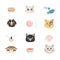 Set of cat. Cute design collection. Vector pet illustration