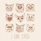 Set of cats. Breeds. Siamese, British, Siberian, Persian, Scottish Fold, Maine Coon, Bengal, Sphynx in doodle hipster vintage