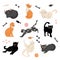 A set of cats of different breeds on a white background with bones, fish and a ball of thread. Vector illustration