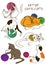 Set of cats playing ball of yarn