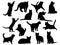 Set of Cats silhouette vector art