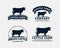 Set of cattle farm logo template design