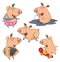 Set of cheerful pigs cartoon