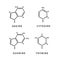 Set of chemical structures of Adeine, Cytosine, Guanine and Thymine, four main nucleobases, simple icons