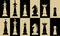 Set of chess pieces on chessboard fields, white piece on black field, black piece on white field