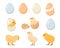 Set of chicken eggs and chicks. Chickens farm elements
