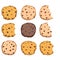 Set of chocolate chip cookies. vector