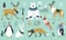 Set of Christmas animals in the forest, bear, fox, hare, reindeer, penguin. Scandinavian style.Winter animals in a