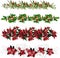 Set of Christmas ornaments from mistletoe, holly and poinsettia on a white background. Vector brushes for illustrator