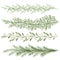 Set of christmas plants. Sprigs of mistletoe, coniferous branches. Long scenery. New year illustration