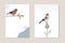 Set of Christmas Scandinavian greeting cards, invitations. Bullfinch bird siting on oak branch. European goldfinch with