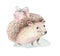 Set of Christmas Woodland forest baby cartoon cute hedgehog animal character. Winter raccoon christmas tree floral