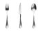 Set of chrome cutlery, knife, fork, spoon