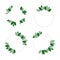 Set of circles floral green frame for highlights for social networks