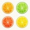 Set of citrus fruits. Orange, Lime, Grapefruit, Lemon.