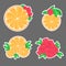 Set Citrus and rose stickers