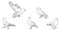 Set of city street pigeons black lines silhouettes on white background,  urban doves birds, editable vector