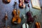 Set of classic violins closeup
