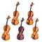 Set of classical violins