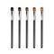 Set of Clean Professional Makeup Concealer Eye Shadow Brushes with Different Black Brown Bristle and Black Handles