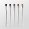 Set of Clean Professional Makeup Eye Shadow Brushes with Different Black Brown Bristle and White Handles