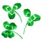 Set of clover leaves. St. Patrick's Day. Watercolor illustration. Isolated on a white background.