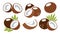 Set of coconut icons