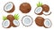 Set of coconut icons