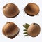 Set of coconuts isolated on white background. Vector illustration.