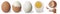 Set collection of egg in various condition, whole, hard boiled, slice in half, and cracked shell, cut out isolated