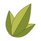 Set collection green leaves nature plant icon