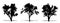 Set or collection of Jacaranda trees as a black silhouette on white background. Concept or conceptual vector for nature, planet