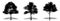 Set or collection of Konara Oak trees as a black silhouette on white background. Concept or conceptual vector for nature, planet