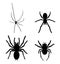 Set collection of spider vector silhouette illustration isolated on white background. Black widow tattoo sign.
