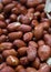 set of Colombian brown almonds focused with good quality