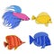 Set of color contour different tropical fish. Fish rooster, pennant fish, royal angel. Marine inhabitants. Vector colorful outline