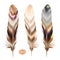 Set of color feather in boho style