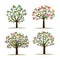 Set Color Trees and Roots. Vector Illustration.