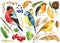 Set of colored birds, titmouse, bullfinch, canary, robin, and autumn plants, berries, branches, watercolor illustration