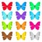 Set of colored butterflies