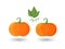 Set of colored flat icons, design Pumpkin