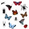 Set of colored icons insects. collection of butterflies, beetles