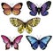set of colored vector bright butterflies of different types