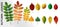 Set of colorful autumn leaves. Vector realistic fall leaf collection. Maple, oak, rowan yellow and red leaves