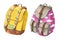 Set of colorful backpacks with pink sky ans clouds