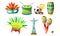 Set of colorful brazilian symbols vector illustration