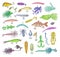 Set of colorful bright vintage sketchy style fishing lures.