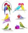 Set of colorful budgie birds. Festive birds, Birthday, Valentine`s Day and Christmas.